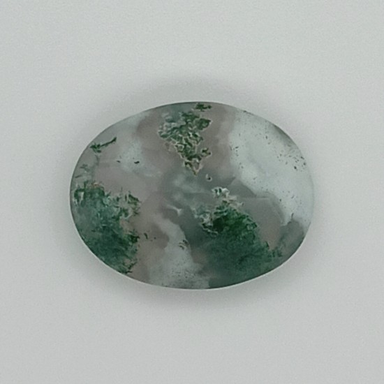 Tree Agate 7.47 Ct Best Quality Tree Agate 7.47 Ct Best Quality